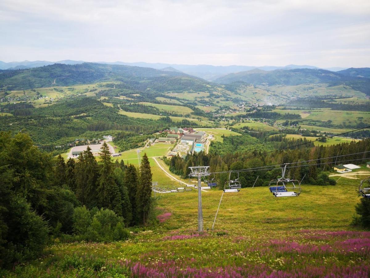 Карпатська Ружа Plave Bagian luar foto