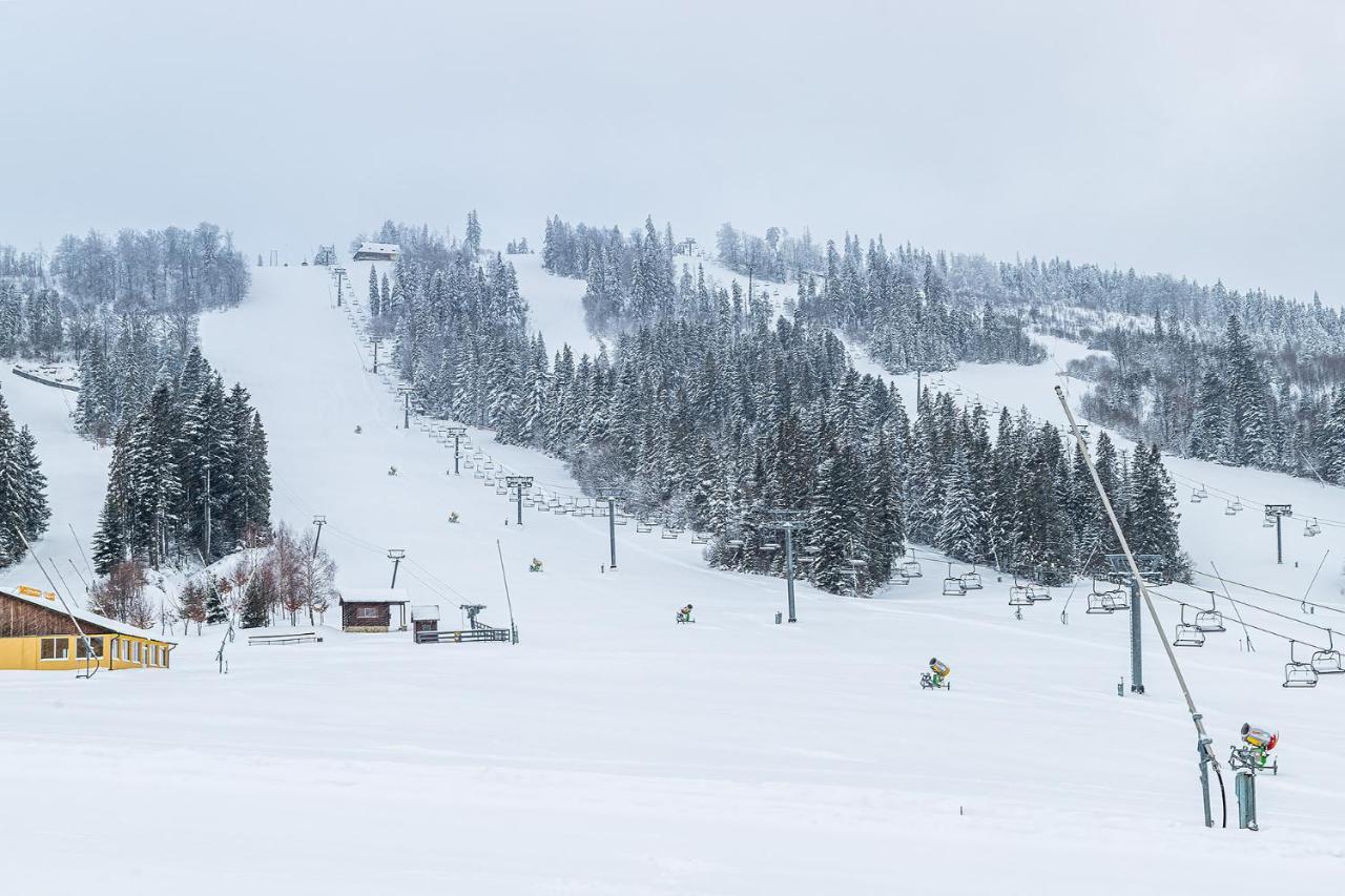 Карпатська Ружа Plave Bagian luar foto